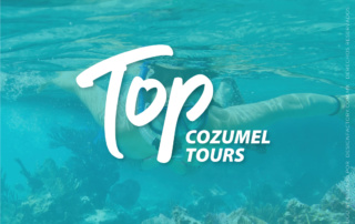 Logo Tours Cozumel