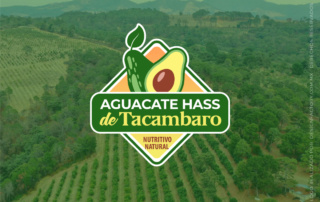 Logo Distribuidora Aguacate