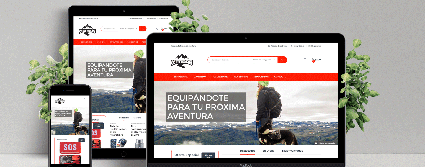 Diseño de Ecommerce